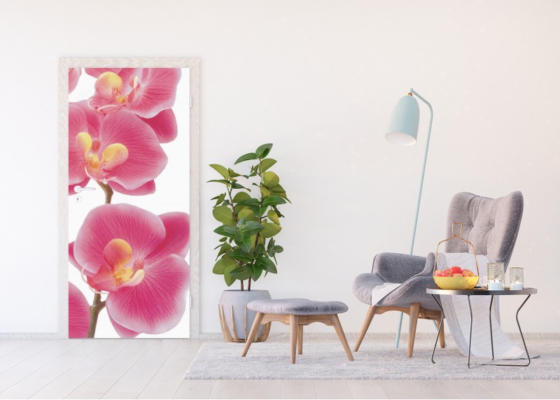 Růžové orchideje, AG Design, fototapeta ekologická vliesová do obývacího pokoje, ložnice, jídelny, kuchyně, lepidlo součástí balení, 90x202