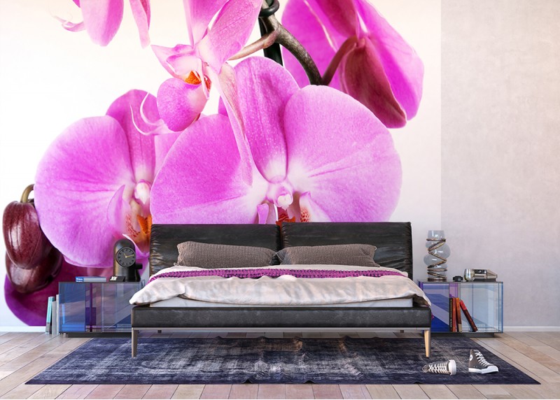 Fialová orchidej, AG Design, fototapeta do obývacího pokoje, ložnice, jídelny, kuchyně, lepidlo součástí balení, 360x254