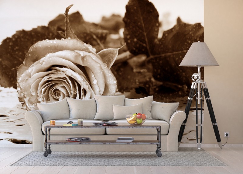 Černobílá růže, AG Design, fototapeta do obývacího pokoje, ložnice, jídelny, kuchyně, lepidlo součástí balení, 360x254