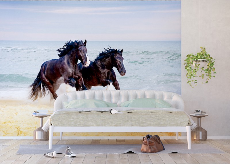 Koně, AG Design, fototapeta do obývacího pokoje, ložnice, jídelny, kuchyně, lepidlo součástí balení, 360x254