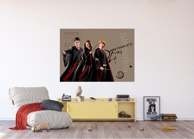 Harry Potter kouzelné trio, AG Design, fototapeta do dětského pokoje, lepidlo součástí balení, 155 x 110