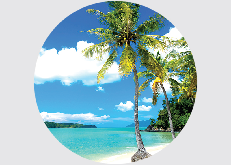 Palmy na pláži, AG Design, fototapeta ekologická vliesová do obývacího pokoje, ložnice, jídelny, kuchyně, 140x140