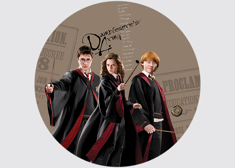 Harry Potter kouzelné trio , AG Design, fototapeta ekologická vliesová do dětského pokoje 70x70