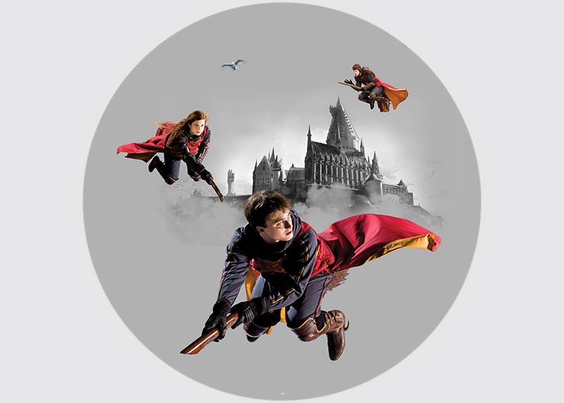 Harry Potter Famfrpálové trio , AG Design, fototapeta ekologická vliesová do dětského pokoje 70x70