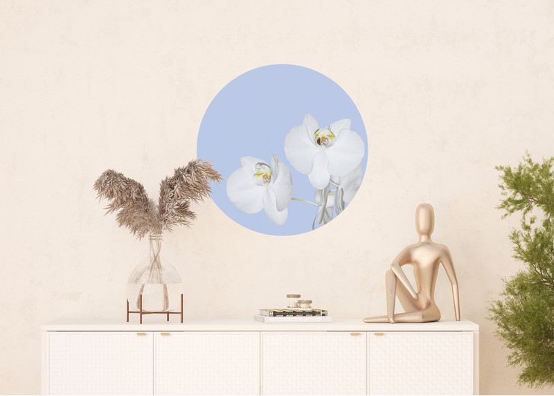 Orchidej na modrém pozadí, AG Design, fototapeta ekologická vliesová do obývacího pokoje, ložnice, jídelny, kuchyně, 70x70
