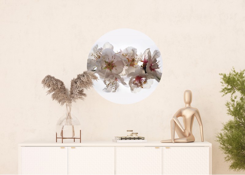 Květy sakury, AG Design, fototapeta ekologická vliesová do obývacího pokoje, ložnice, jídelny, kuchyně, 70x70