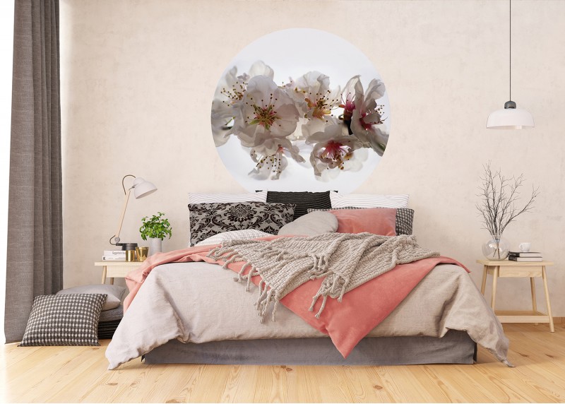 Květy sakury, AG Design, fototapeta ekologická vliesová do obývacího pokoje, ložnice, jídelny, kuchyně, 140x140