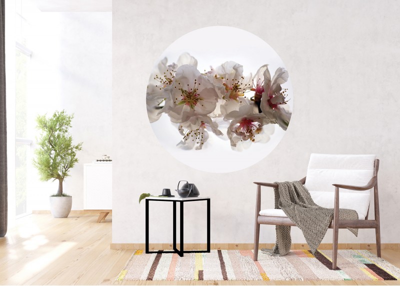 Květy sakury, AG Design, fototapeta ekologická vliesová do obývacího pokoje, ložnice, jídelny, kuchyně, 140x140