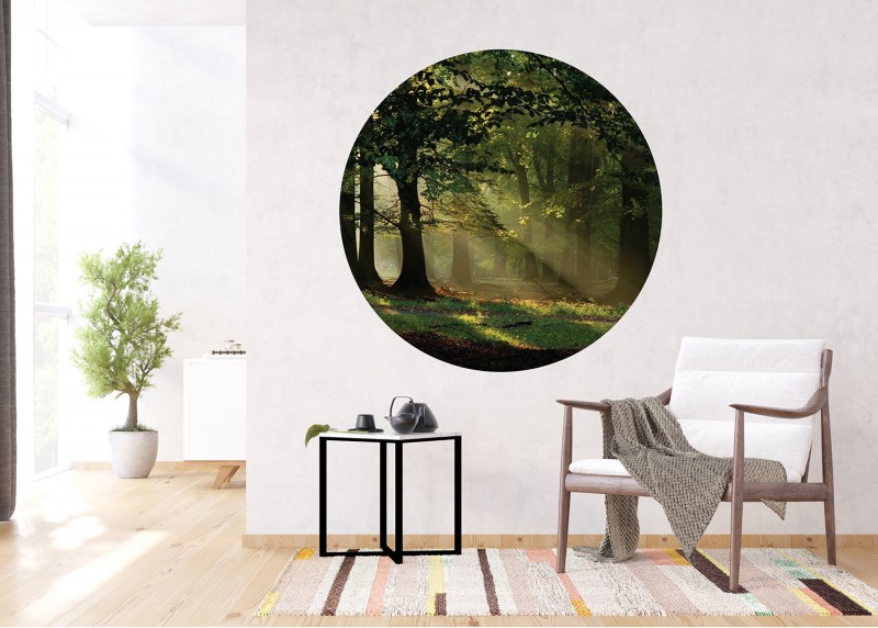 Magický les, AG Design, fototapeta ekologická vliesová do obývacího pokoje, ložnice, jídelny, kuchyně, 140x140