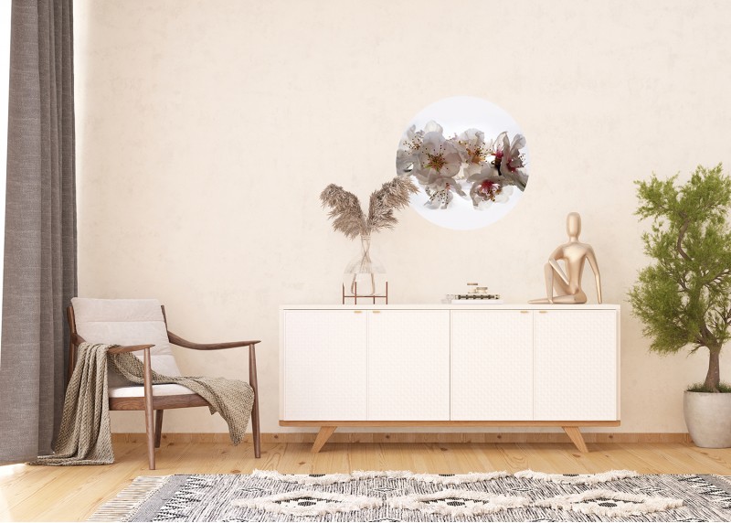 Květy sakury, AG Design, fototapeta ekologická vliesová do obývacího pokoje, ložnice, jídelny, kuchyně, 70x70