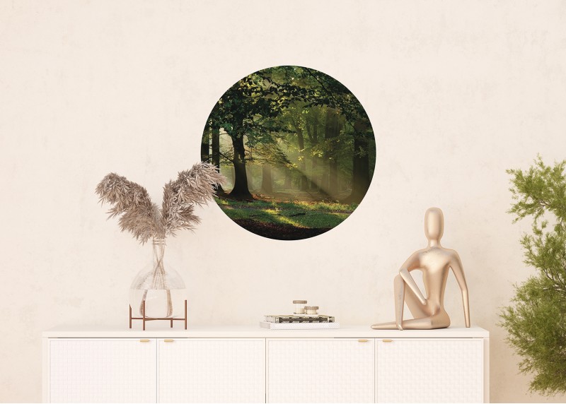 Prosluněný les, AG Design, kruhová samolepící vliesová fototapeta do obývacího pokoje, ložnice, jídelny, kuchyně, 70x70