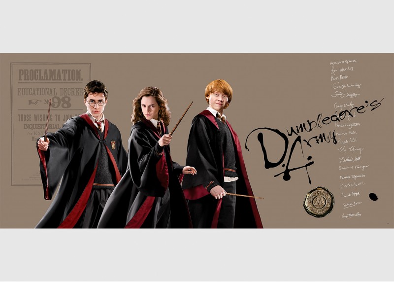 Harry Potter kouzelné trio , AG Design, fototapeta do dětského pokoje, lepidlo součástí balení, 170x75