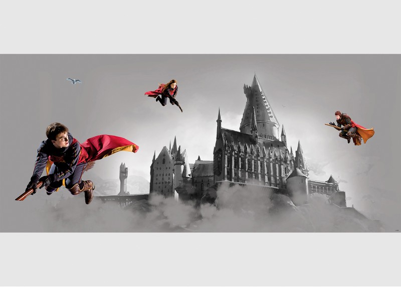 Harry Potter famfrpálové trio , AG Design, fototapeta do dětského pokoje, lepidlo součástí balení, 170x75