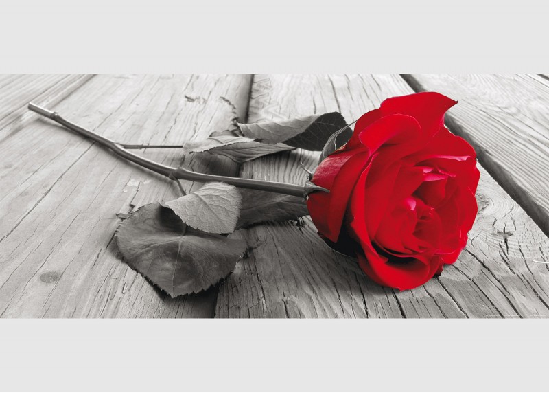 Červená růže, AG Design, fototapeta ekologická vliesová do obývacího pokoje, ložnice, jídelny, kuchyně, lepidlo součástí balení, 202x90