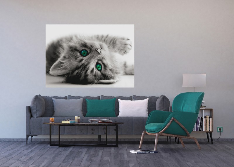 Hravé kotě , AG Design, fototapeta ekologická vliesová do obývacího pokoje, ložnice, jídelny, kuchyně, lepidlo součástí balení, 155x110