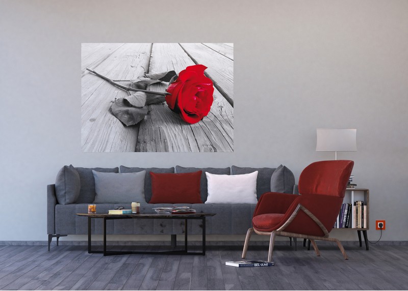 Rudá růže, AG Design, fototapeta ekologická vliesová do obývacího pokoje, ložnice, jídelny, kuchyně, lepidlo součástí balení, 155x110