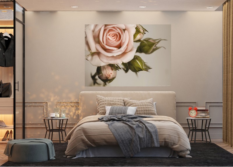 Růže, AG Design, fototapeta ekologická vliesová do obývacího pokoje, ložnice, jídelny, kuchyně, lepidlo součástí balení, 155x110