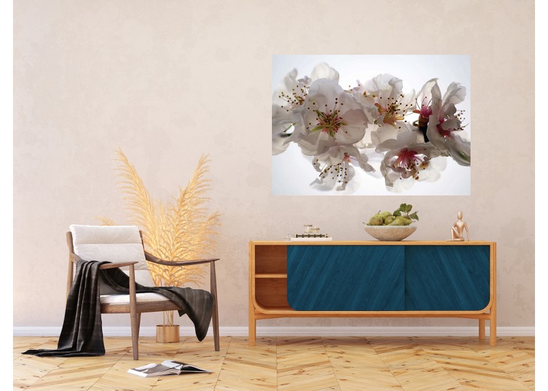 Květy sakury, AG Design, fototapeta ekologická vliesová do obývacího pokoje, ložnice, jídelny, kuchyně, lepidlo součástí balení, 155x110