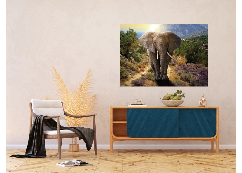 Slon, AG Design, fototapeta ekologická vliesová do obývacího pokoje, ložnice, jídelny, kuchyně, lepidlo součástí balení, 155x110