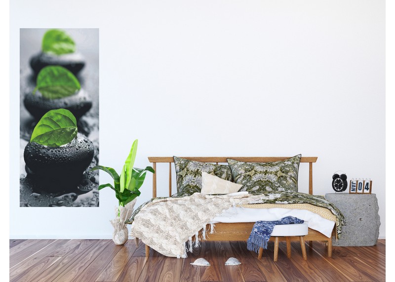 Kameny s lístkem , AG Design, fototapeta ekologická vliesová do obývacího pokoje, ložnice, jídelny, kuchyně, lepidlo součástí balení, 90x202