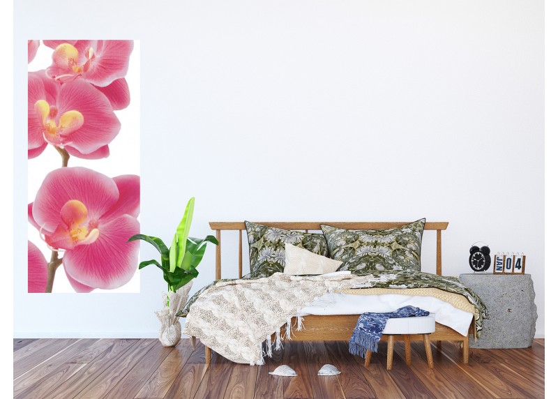 Růžové orchideje, AG Design, fototapeta ekologická vliesová do obývacího pokoje, ložnice, jídelny, kuchyně, lepidlo součástí balení, 90x202