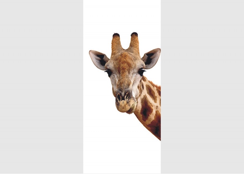 Žiraf, AG Design, fototapeta ekologická vliesová do obývacího pokoje, ložnice, jídelny, kuchyně, lepidlo součástí balení, 90x202