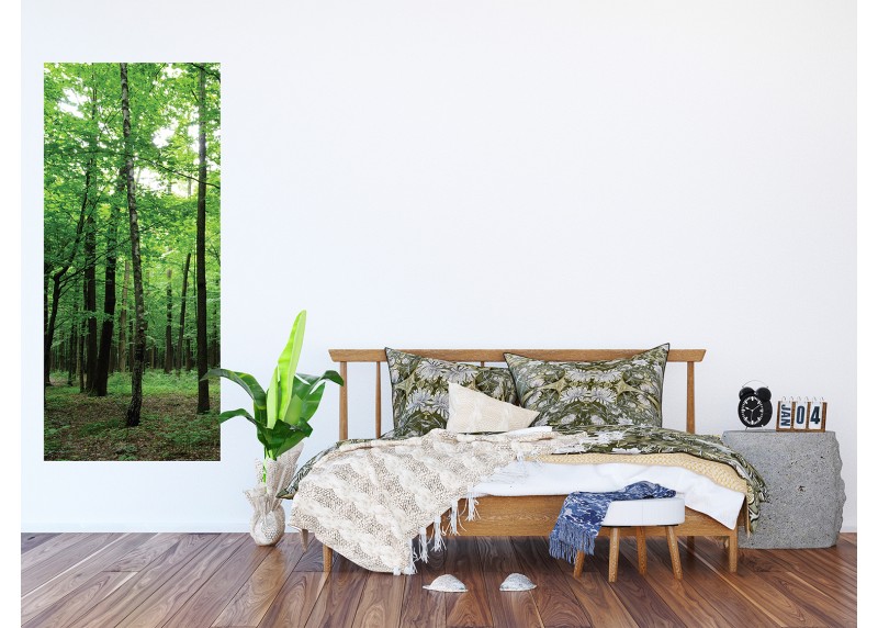 Listnatý les, AG Design, fototapeta ekologická vliesová do obývacího pokoje, ložnice, jídelny, kuchyně, lepidlo součástí balení, 90x202