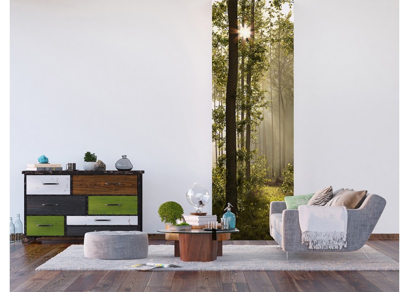 Prosluněný les , AG Design, fototapeta ekologická vliesová do obývacího pokoje, ložnice, jídelny, kuchyně, lepidlo součástí balení, 90x270