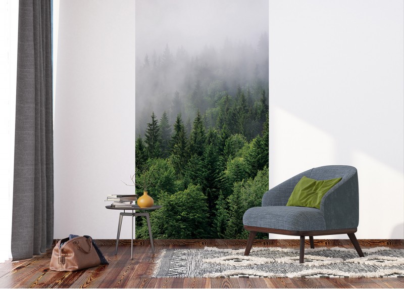 Les v ranní mlze, AG Design, fototapeta ekologická vliesová do obývacího pokoje, ložnice, jídelny, kuchyně, lepidlo součástí balení, 150x270