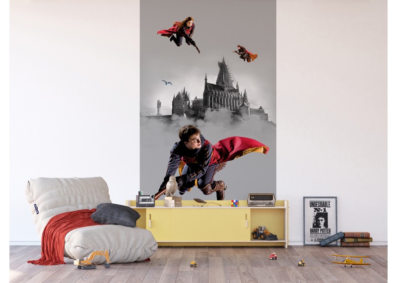 Harry Potter Famfrpálové trio, AG Design, fototapeta do dětského pokoje, lepidlo součástí balení, 150x270