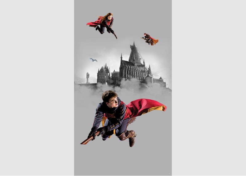 Harry Potter Famfrpálové trio, AG Design, fototapeta do dětského pokoje, lepidlo součástí balení, 150x270