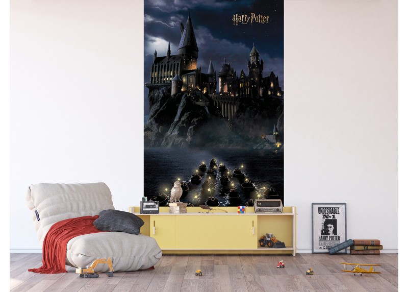 Harry Potter první rok v Bradavicích, AG Design, fototapeta do dětského pokoje, lepidlo součástí balení, 150x270