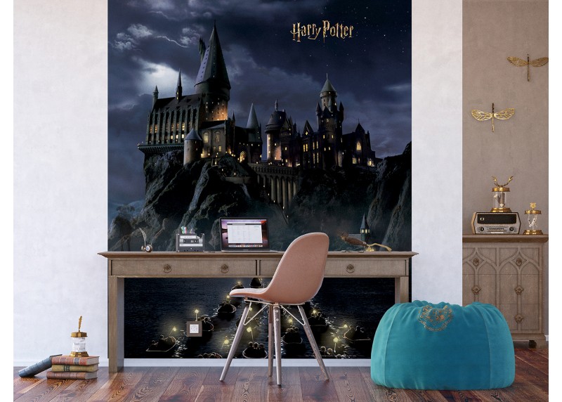 Harry Potter první rok v Bradavicích, AG Design, fototapeta do dětského pokoje, lepidlo součástí balení, 225x270