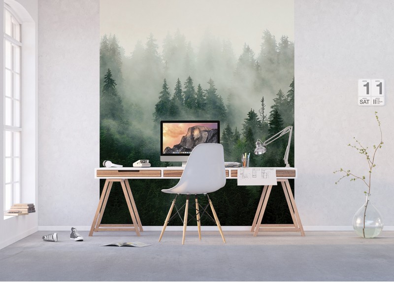 Lesní mlha, AG Design, fototapeta ekologická vliesová do obývacího pokoje, ložnice, jídelny, kuchyně, lepidlo součástí balení, 225x270