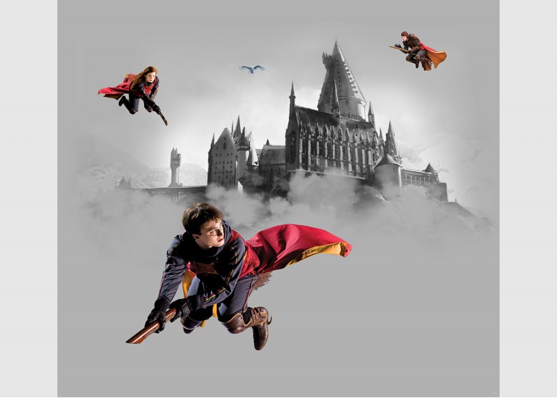 Harry Potter Famfrpálové trio, AG Design, fototapeta do dětského pokoje, lepidlo součástí balení, 300x270