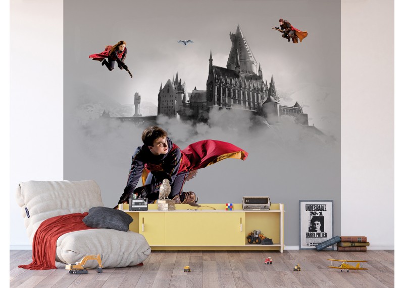 Harry Potter Famfrpálové trio, AG Design, fototapeta do dětského pokoje, lepidlo součástí balení, 300x270