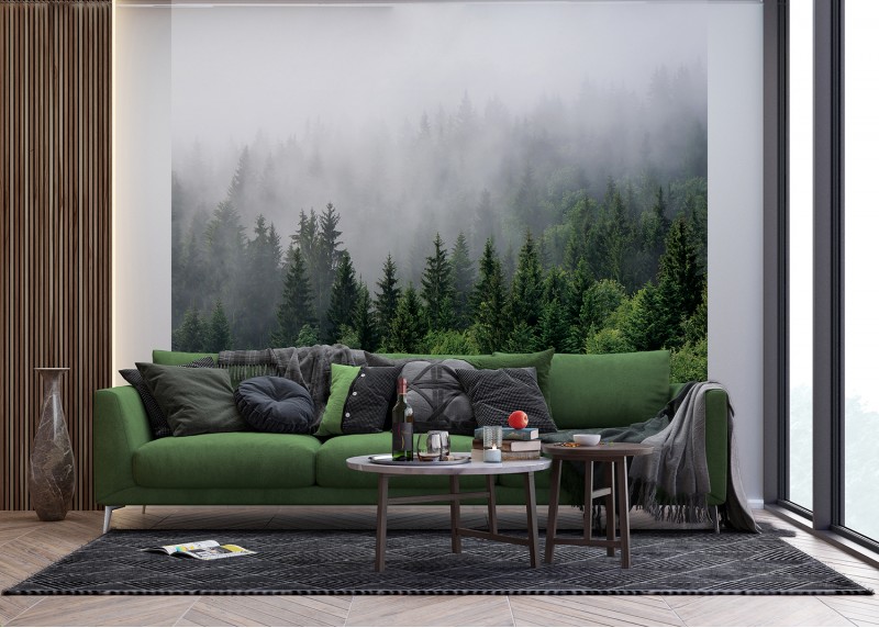 Les v ranní mlze, AG Design, fototapeta ekologická vliesová do obývacího pokoje, ložnice, jídelny, kuchyně, lepidlo součástí balení, 300x270
