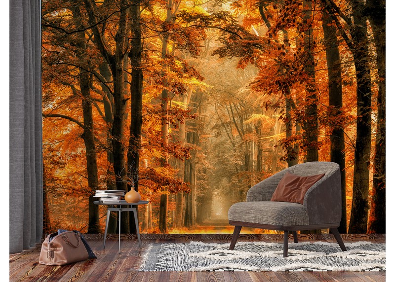 Zlatá cesta lesem, AG Design, fototapeta ekologická vliesová do obývacího pokoje, ložnice, jídelny, kuchyně, lepidlo součástí balení, 360x270