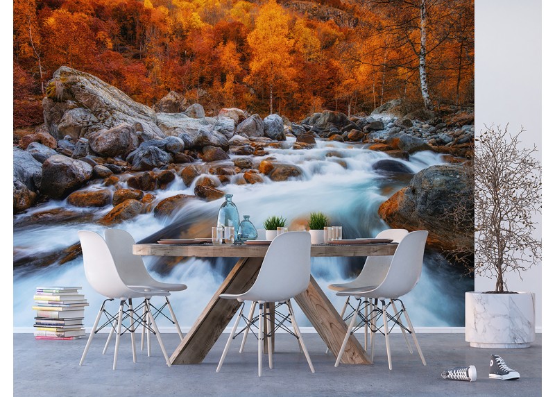 Řeka v podzimním lese, AG Design, fototapeta ekologická vliesová do obývacího pokoje, ložnice, jídelny, kuchyně, lepidlo součástí balení, 360x270