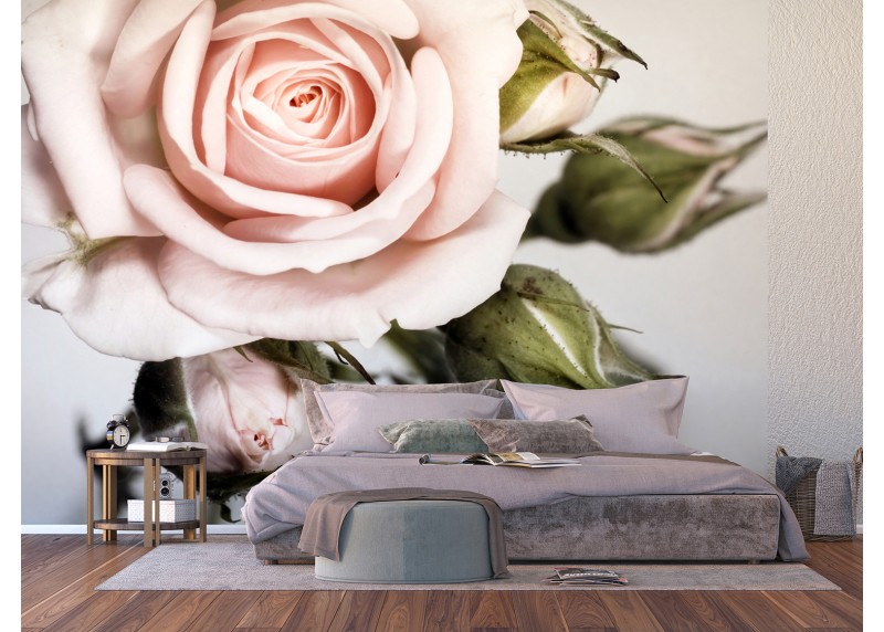 Růže, AG Design, fototapeta ekologická vliesová do obývacího pokoje, ložnice, jídelny, kuchyně, lepidlo součástí balení, 375x270