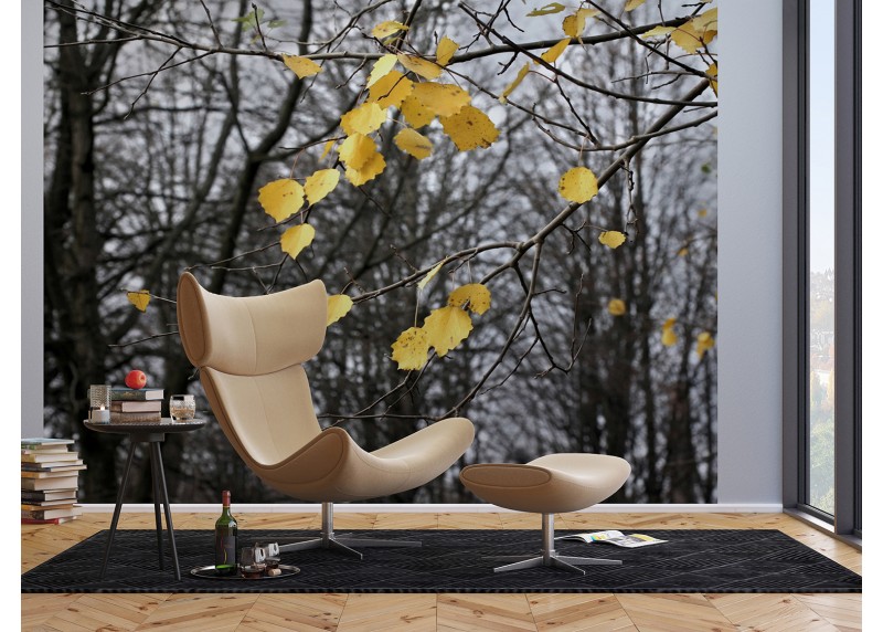 Podzimní listí, AG Design, fototapeta ekologická vliesová do obývacího pokoje, ložnice, jídelny, kuchyně, lepidlo součástí balení, 360x270