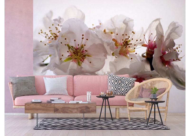  Květy třešně, AG Design, fototapeta ekologická vliesová do obývacího pokoje, ložnice, jídelny, kuchyně, lepidlo součástí balení, 375x270
