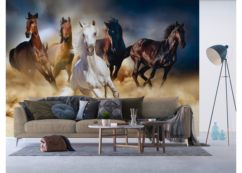 Divocí koně, AG Design, fototapeta ekologická vliesová do obývacího pokoje, ložnice, jídelny, kuchyně, lepidlo součástí balení, 375x270