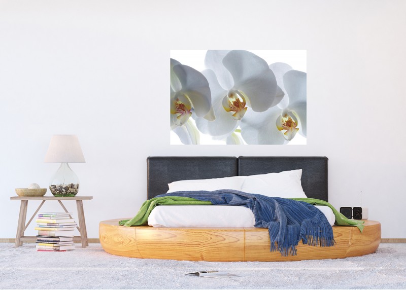Bílé květy orchideje, AG Design, fototapeta do obývacího pokoje, ložnice, jídelny, kuchyně, lepidlo součástí balení, 180x127