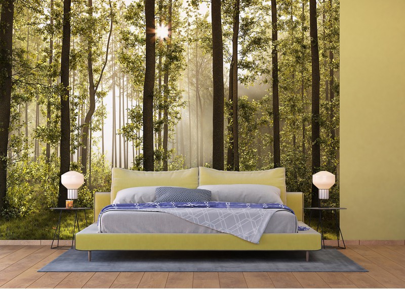 Zasluněný les, AG Design, fototapeta do obývacího pokoje, ložnice, jídelny, kuchyně, lepidlo součástí balení, 360x254