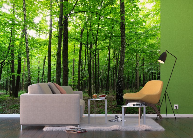 Listnatý les, AG Design, fototapeta do obývacího pokoje, ložnice, jídelny, kuchyně, lepidlo součástí balení, 360x254
