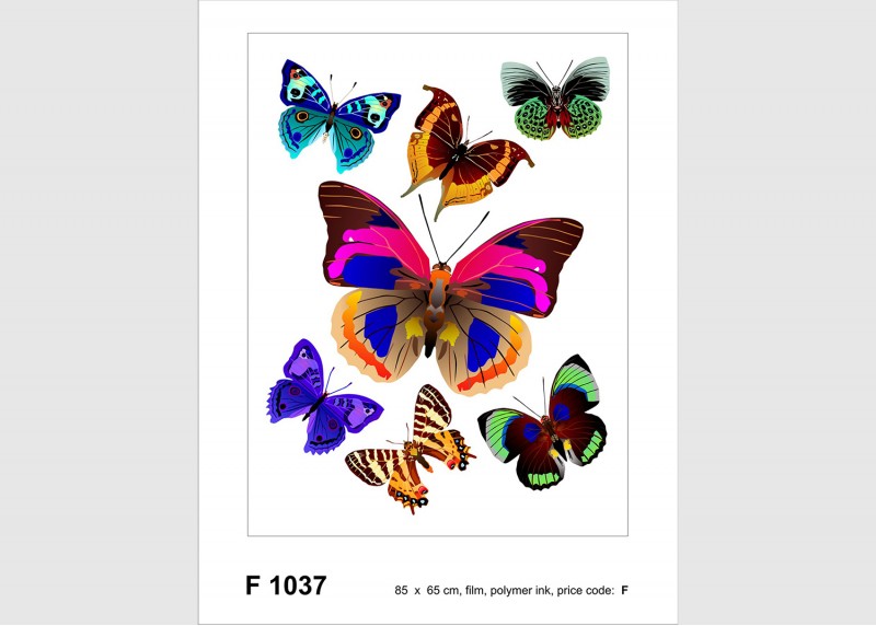 Samolepka na zeď,  AG Design, F 1037, Nádherné barevné motýly, 65x85 cm