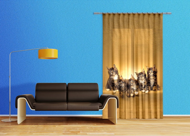 Kočky, záclony AG Design, 140 x 245 cm, 1 díl, do kuchyně, obývacího pokoje, ložnice, FCSL 7521