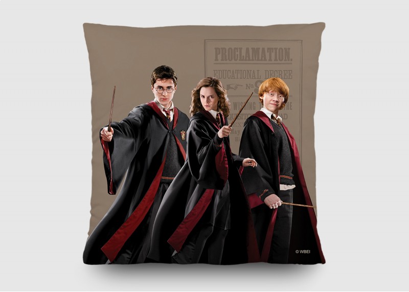 Harry Potter , dekorativní polštář AG Design, pro dětské pokoje, 40 x 40 cm, CND 3155 - 410