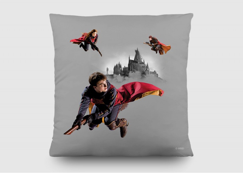Harry Potter , dekorativní polštář AG Design, pro dětské pokoje, 40 x 40 cm, CND 3157 - 411